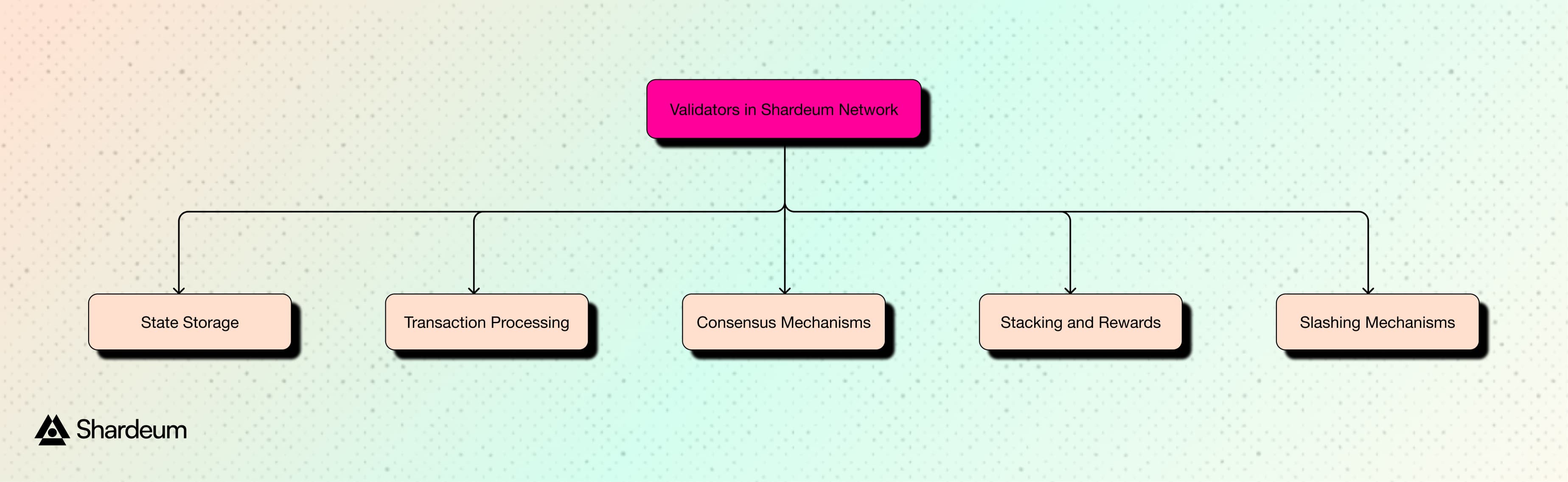 validator Operations